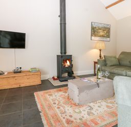 A living room with a wood stove and television at Shepherds Burn Cottage Bellingham