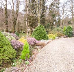 A garden with bushes trees and gravel path at Rhydlandgoed Stepaside near Saundersfoot
