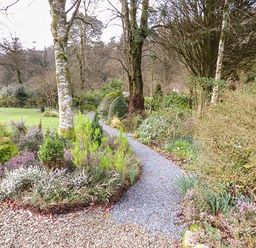 A garden pathway surrounded by bushes trees and flowering plants at Rhydlandgoed Stepaside near Saundersfoot