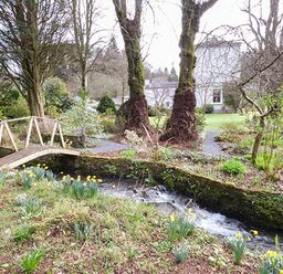 A garden with a small wooden bridge over a stream and trees near a white house at Rhydlandgoed Stepaside near Saundersfoot