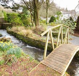A small wooden bridge over a stream with daffodils and trees at Rhydlandgoed in Stepaside near Saundersfoot
