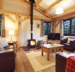 A living room with a wood stove and seating area at Lady Bagots Cabin in Ruthin