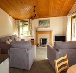 A living room with grey sofas a fireplace a wooden ceiling and curtains at South Lodge in Kendal
