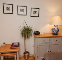 A corner with a wooden end table with books a small potted plant a cabinet with a lamp and three framed pictures on the wall at 6 Mill Wharf in Berwick-upon-Tweed