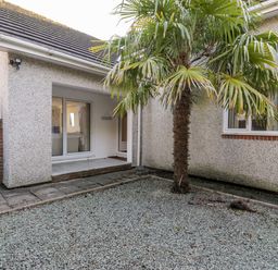A courtyard with a palm tree and gravel next to a building with a sliding glass door and a small window at 11 Glyn Garth Mews in Llandegfan near Beaumaris