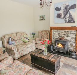A living room with floral sofas a wooden chest coffee table a fireplace and animal art at Shandrum Brook in Charleville