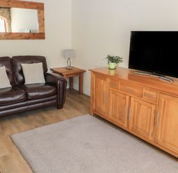 A living room with a leather sofa, wooden side table with lamp, wooden cabinet with TV and plant at The Mistal in Glanton near Alnwick