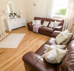 A living room with brown leather sofas cushions a white cabinet with lamps and a mirror and a fireplace at The Elms in Milford Haven