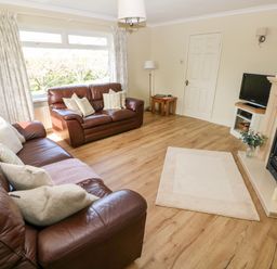 A living room with two brown leather sofas a fireplace a television on a stand and wooden flooring at The Elms in Milford Haven
