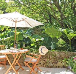 An outdoor patio with a wooden table and chairs under a white umbrella surrounded by plants and trees at Cot Valley Cottage in St Just
