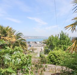 A garden with various trees and plants overlooking a harbor with boats and buildings at Rose Villa in Newlyn