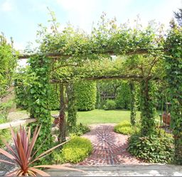 A garden with a brick circular path and wooden pergola covered with greenery and plants at Summer House in Helston