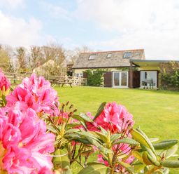 A garden with pink flowers and a house with a sloped roof in the background at Higher Kernick Stable Helland near Blisland