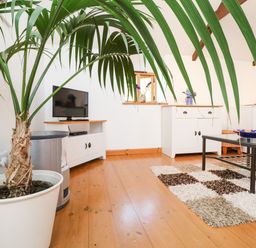 A room with a potted palm plant a TV on a white stand a rug and a glass coffee table at Lower Rissick Cottage in Sennen
