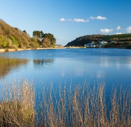 A body of water surrounded by trees and grass with houses on a hill at Hazel Barn in Falmouth
