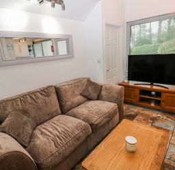 A living room with a sofa and television at Trelessy Lodge near Llanteg