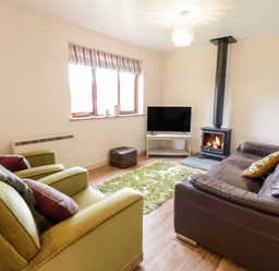 A living room with green armchairs a brown leather sofa a wood stove and a tv at The Alders in Llanfyllin