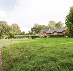 A house with a driveway and grassy area surrounded by trees at The Alders in Llanfyllin