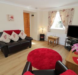 A living room with a brown leather sofa with floral cushions a red rug a television on a stand and a vase of pink flowers on a wooden table at Bodegri Cottage Llanrhyddlad near Church Bay