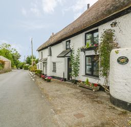 An exterior view of a thatched cottage with white walls and flower pots along the sidewalk at Easterly Cottage in Bude