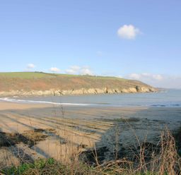 A sandy beach with seaweed and rocks next to a calm sea with a grassy hill in the background at Long House Boskensoe Barns Mawnan Smith