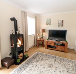 A living room with a wood stove TV on a wooden stand a side table with a lamp and a patterned rug at 14 The Maltings in Rothbury