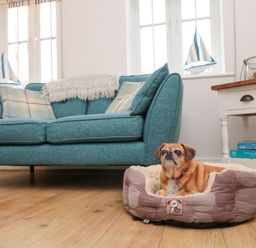 A living room with a blue sofa a dog in a bed and a side table with board games at Dotty's Sunshine Cottage in The Bay near Filey