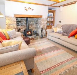 A living room with two sofas and a fireplace at Blue Anchor in Fraddon