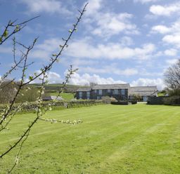 A green lawn with blossoming branches in front of a stone house under a blue sky at Threshings Cottage in Tintagel