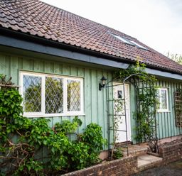 A green wooden house with diamond pane windows and climbing plants at Fig Tree Cottage in Bickleigh