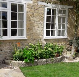 A garden bed with green plants and flowers in front of two white framed windows on a stone wall at Tick Tock Cottage in Marnhull
