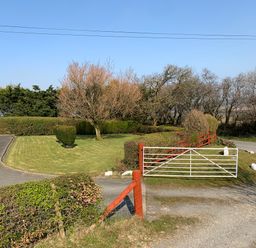 A driveway entrance with a white metal gate and trimmed hedges and trees at Blaenywawr in Lampeter