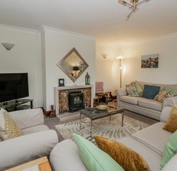 A living room with a television and fireplace at Blaenywawr near Lampeter