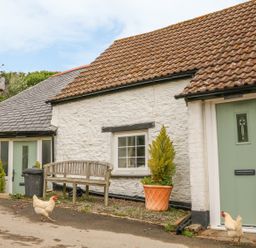 A cottage exterior with two chickens a wooden bench and potted plants at Wren Cottage Ilfracombe