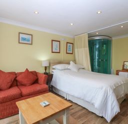 A bedroom with a bed, sofa, and shower at Maesawel Studio in Llanfair