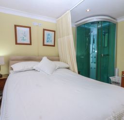 A bedroom with a bed and a shower at Maesawel Studio Llanfair