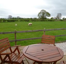 A wooden table with chairs on a patio overlooking a green field with sheep at Buttercup Cottage in Catterlen