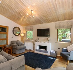 A living room with grey sofas a black rug a fireplace and a wall mounted television at Footprints Lodge in Windermere