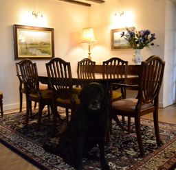 A dining room with a wooden table and chairs a floral rug two framed pictures a lamp a vase with flowers and a black dog at Greety Gate House in Foxfield