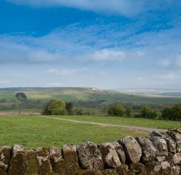 A rural landscape with green fields trees and a stone wall at Westmains Farm in Penton
