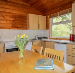 A kitchen with wooden cabinets a table with yellow flowers and a window showing green foliage at Eagle Lodge in Strathpeffer