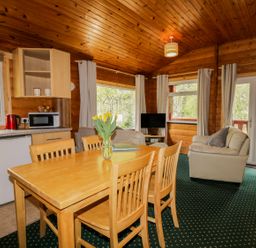 A wooden dining table with chairs a vase of flowers a kitchen area with a microwave kettle and fridge a living room with armchairs a television and windows at Eagle Lodge in Strathpeffer