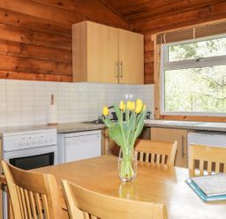 A kitchen with wooden cabinets a white oven a dishwasher a window yellow tulips on a wooden table and chairs at Otter Lodge in Strathpeffer