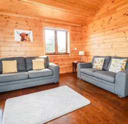 A living room with two gray sofas with cushions a small wooden side table with a lamp two windows wooden walls and a white rug on a wooden floor at Willow Lodge in Lanivet near Bodmin