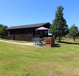 An outdoor patio with table chairs and umbrella next to a wooden cabin and trees at Willow Lodge in Lanivet near Bodmin