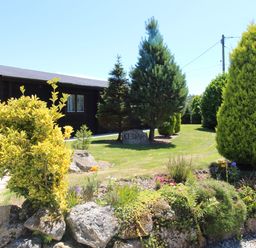 A garden with various shrubs and small trees next to a wooden building at Cedar Lodge in Lanivet near Bodmin