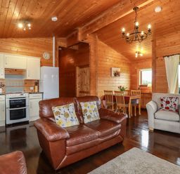 An open plan room with a kitchen dining area and seating with wooden walls and ceiling at Cedar Lodge in Lanivet near Bodmin