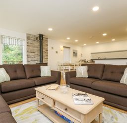 A living room with brown sofas a wooden coffee table and a dining area at Birch in Truro