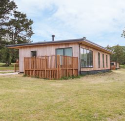 A wooden cabin with fenced porch and large windows surrounded by grass and trees at Oak in Truro