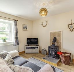 A living room with a sofa a small television a wood-burning stove and a window with curtains at Briar Cottage in Edlingham